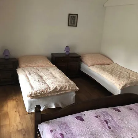 Ubytovani U Simonu Guest house *