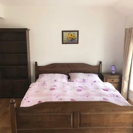 Guest house Ubytovani U Simonu