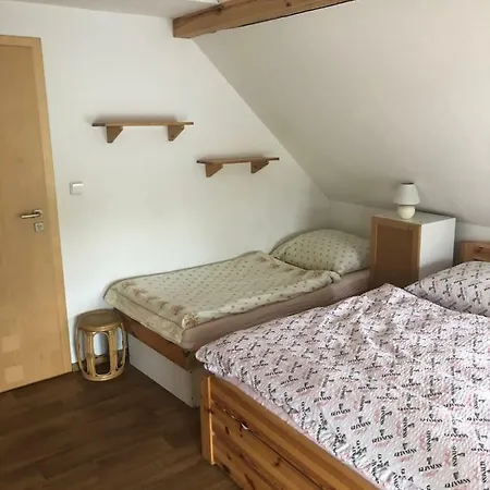 Guest house Ubytovani U Simonu *