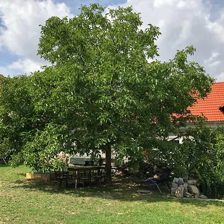 Ubytovani U Simonu Guest house